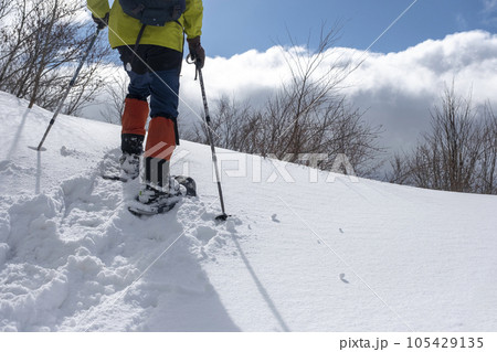 スノーシュートレッキングのイメージ　大山鏡ヶ成   105429135