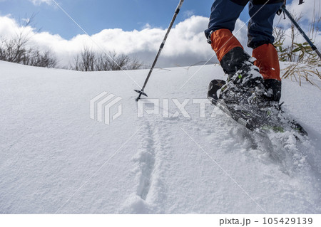 スノーシュートレッキングのイメージ　大山鏡ヶ成   105429139