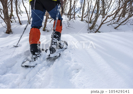 スノーシュートレッキングのイメージ 大山鏡ヶ成 スノーシュートレッキングのイメージ 大山鏡ヶ成 105429141