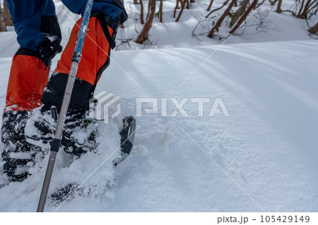 スノーシュートレッキングのイメージ　大山鏡ヶ成   105429149