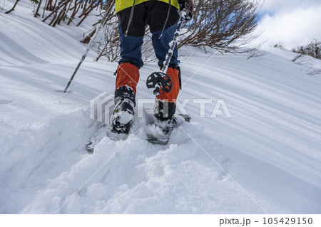 スノーシュートレッキングのイメージ 大山鏡ヶ成 スノーシュートレッキングのイメージ 大山鏡ヶ成 105429150