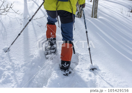 スノーシュートレッキングのイメージ　大山鏡ヶ成   105429156