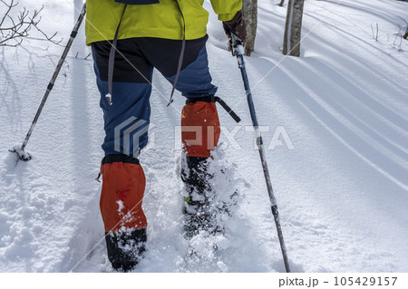 スノーシュートレッキングのイメージ　大山鏡ヶ成   105429157