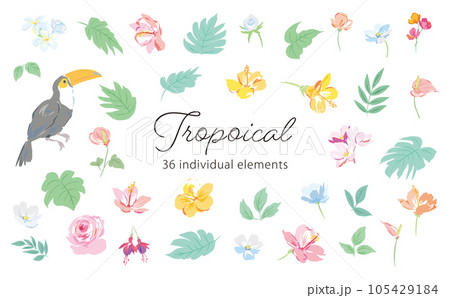 トロピカルな動植物のイラストセット 105429184