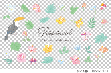 トロピカルな動植物のイラストセット 105429184