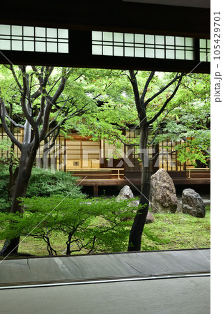 雨上がりの潮音庭 建仁寺 雨上がりの潮音庭 建仁寺 105429701