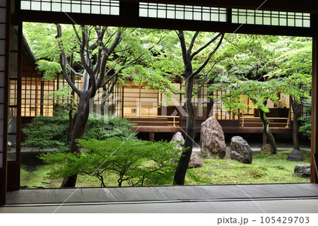 雨上がりの潮音庭　建仁寺 105429703