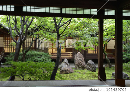 雨上がりの潮音庭　建仁寺 105429705