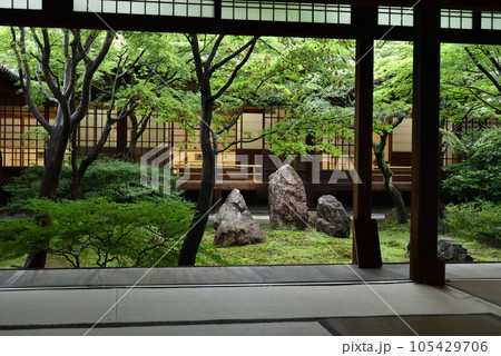 雨上がりの潮音庭 建仁寺 雨上がりの潮音庭 建仁寺 105429706