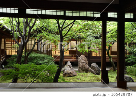 雨上がりの潮音庭 建仁寺 雨上がりの潮音庭 建仁寺 105429707