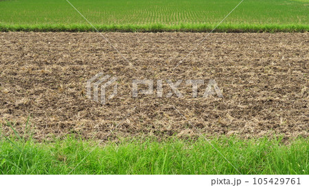耕作された秋の田圃と穭田風景 耕作された秋の田圃と穭田風景 105429761