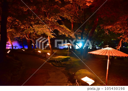 日本庭園 島根 由志園 池泉天竺牡丹 イルミネーション 日本庭園 島根 由志園 池泉天竺牡丹 イルミネーション 105430198