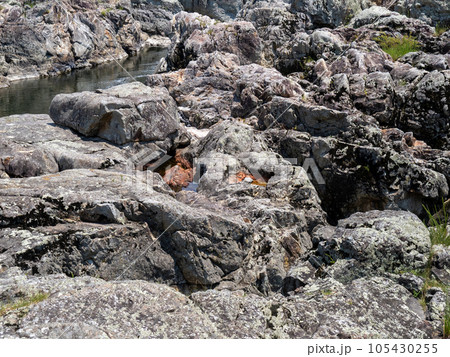 夏の闘竜灘(兵庫県加東市内)。加古川中流の景勝地。 夏の闘竜灘(兵庫県加東市内)。加古川中流の景勝地。 105430255