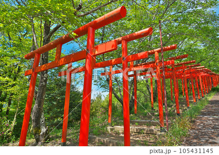 【丸高稲荷神社】 和歌山県橋本市紀ノ光台 105431145