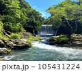 渓流の美しい風景 105431224