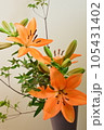 花瓶に活けたユリ 105431402
