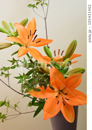 花瓶に活けたユリ 花瓶に活けたユリ 105431402
