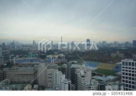 神宮外苑の風景 神宮外苑の風景 105431466