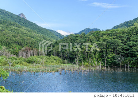 山の向こうに覗く縫道石山の頂上 山の向こうに覗く縫道石山の頂上 105431613