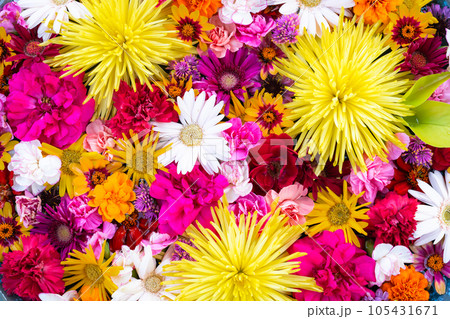 花の背景素材 花手水 花の背景素材 花手水 105431671