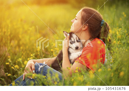 Young woman in a T-shirt hugs a husky puppy at sunset outdoors Young woman in a T-shirt hugs a husky puppy at sunset outdoors 105431676