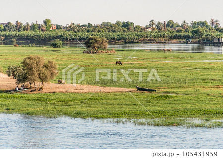 Panoramic view of fertile banks of Nile and everyday life during river cruise River near Luxor Egypt direction assuan 105431959