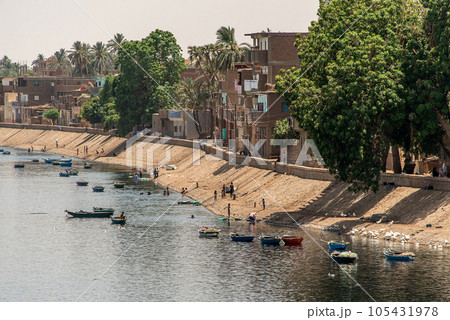 Panoramic view of fertile banks of Nile and everyday life during river cruise River near Luxor Egypt direction assuan Panoramic view of fertile banks of Nile and everyday life during river cruise River near Luxor Egypt direction assuan 105431978