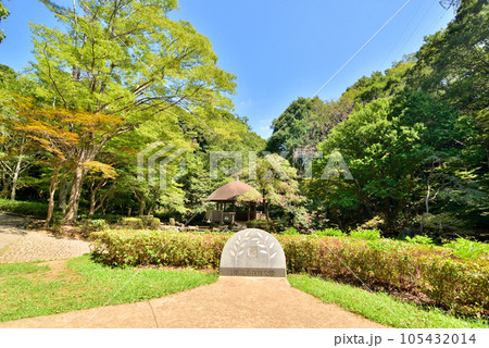 川崎市　宮前区　東高根森林公園 105432014