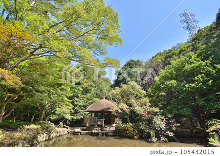 川崎市　宮前区　東高根森林公園 105432015