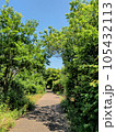 緑豊かな私の散歩道 105432113