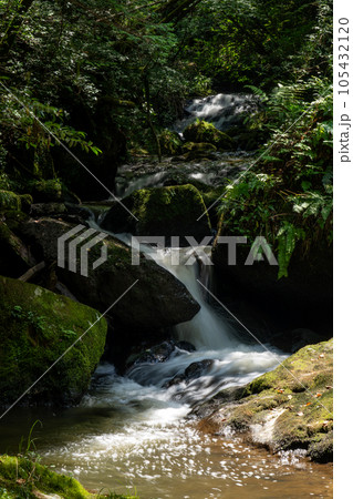大戸川源流の鶏鳴の滝周辺の渓流風景 105432120