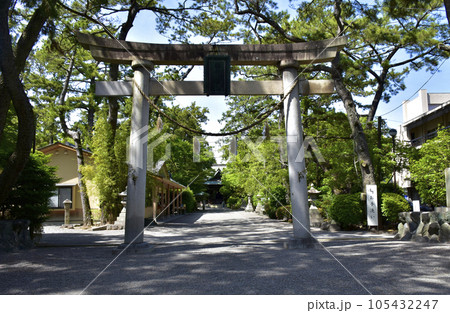 静岡県浜松市　浜松八幡宮鳥居 105432247