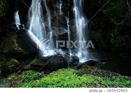 夏の鶏鳴の滝 105432605