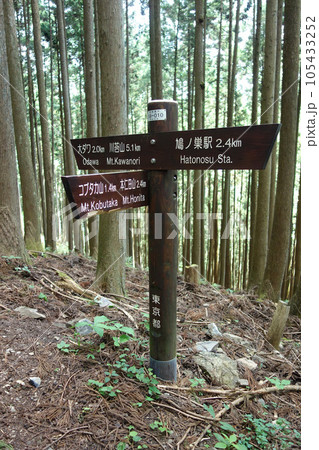 瘤高山と川苔山の分岐道標(大根ノ山ノ神~瘤高山) 瘤高山と川苔山の分岐道標(大根ノ山ノ神~瘤高山) 105433252