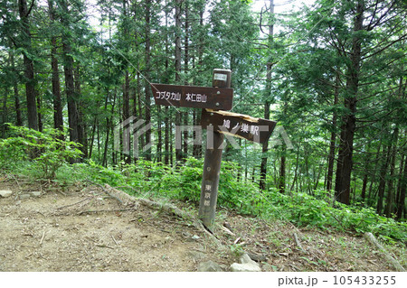 瘤高山への道標(川苔山分岐~瘤高山:東京都西多摩郡奥多摩町) 瘤高山への道標(川苔山分岐~瘤高山:東京都西多摩郡奥多摩町) 105433255