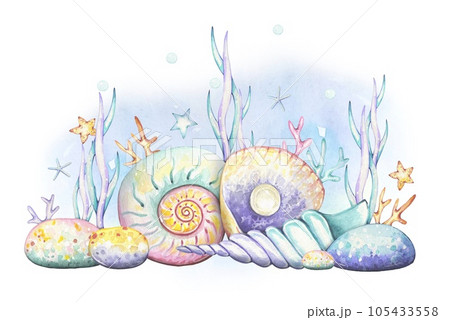 Underwater world, composition with  corals, shells, stones, watercolor illustration 105433558