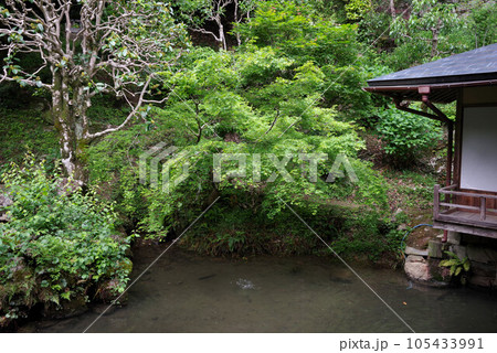 金刀比羅宮　表書院庭園 105433991