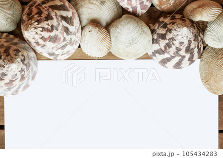 Paper and shells 105434283