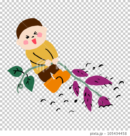さつまいもを掘る子ども 105434458
