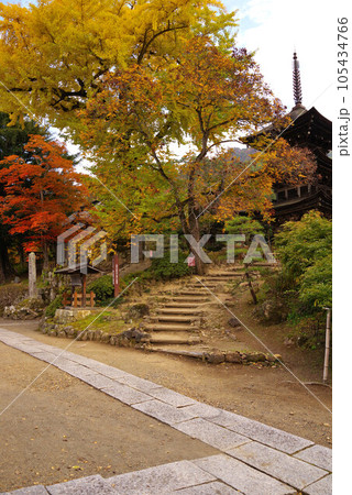 前山寺の紅葉 105434766