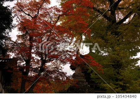 前山寺の紅葉 105434840