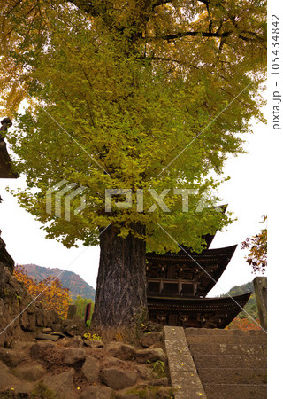 前山寺の紅葉 105434842