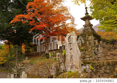 前山寺の紅葉 105434861