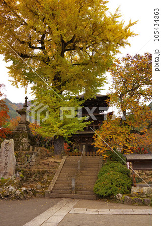 前山寺の紅葉 105434863