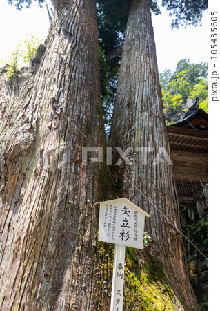 榛名神社参道 矢立杉 榛名神社参道 矢立杉 105435605