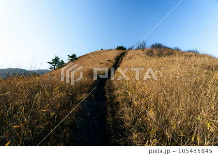 初冬の朝の三平山山頂への登山道3　岡山県真庭市 105435845