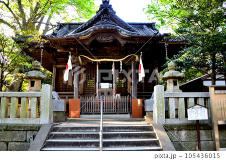 逗子市 亀岡八幡宮の拝殿 105436015