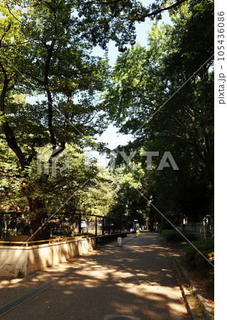 川崎市立 夢見ヶ崎動物公園 105436086