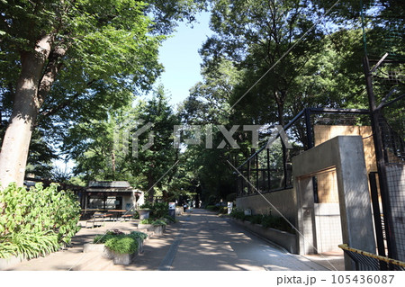 川崎市立 夢見ヶ崎動物公園 川崎市立 夢見ヶ崎動物公園 105436087