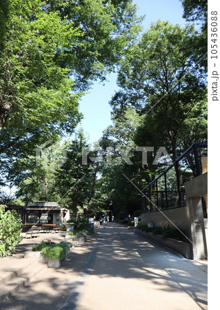 川崎市立 夢見ヶ崎動物公園 川崎市立 夢見ヶ崎動物公園 105436088